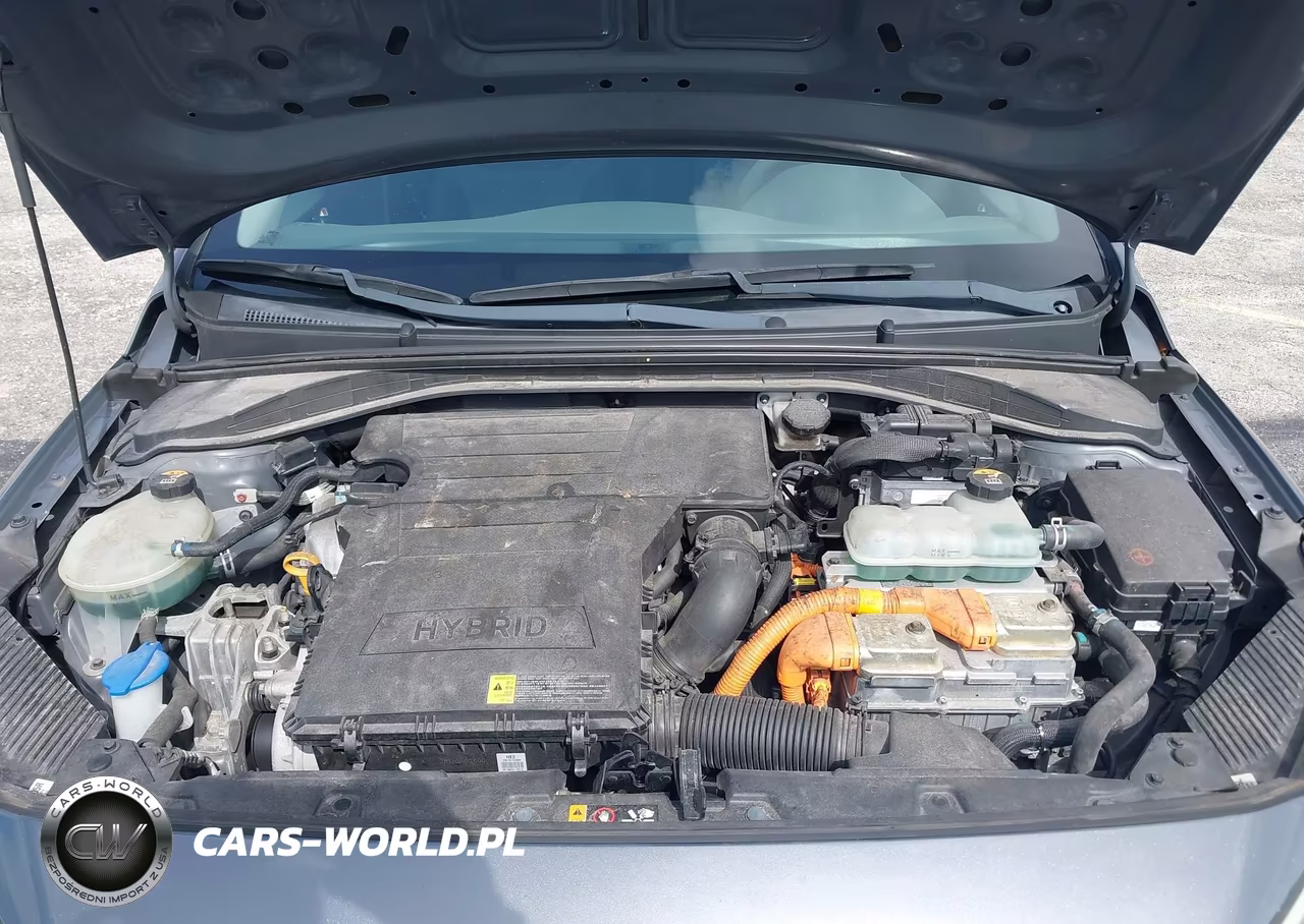 2019 Hyundai Ioniq Hybrid Blue VIN:KMHC65LC1KU156893 - 10