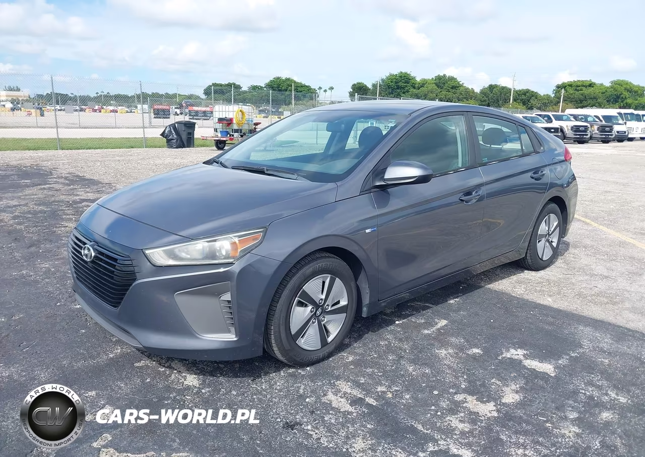 2019 Hyundai Ioniq Hybrid Blue VIN:KMHC65LC1KU156893 - 2