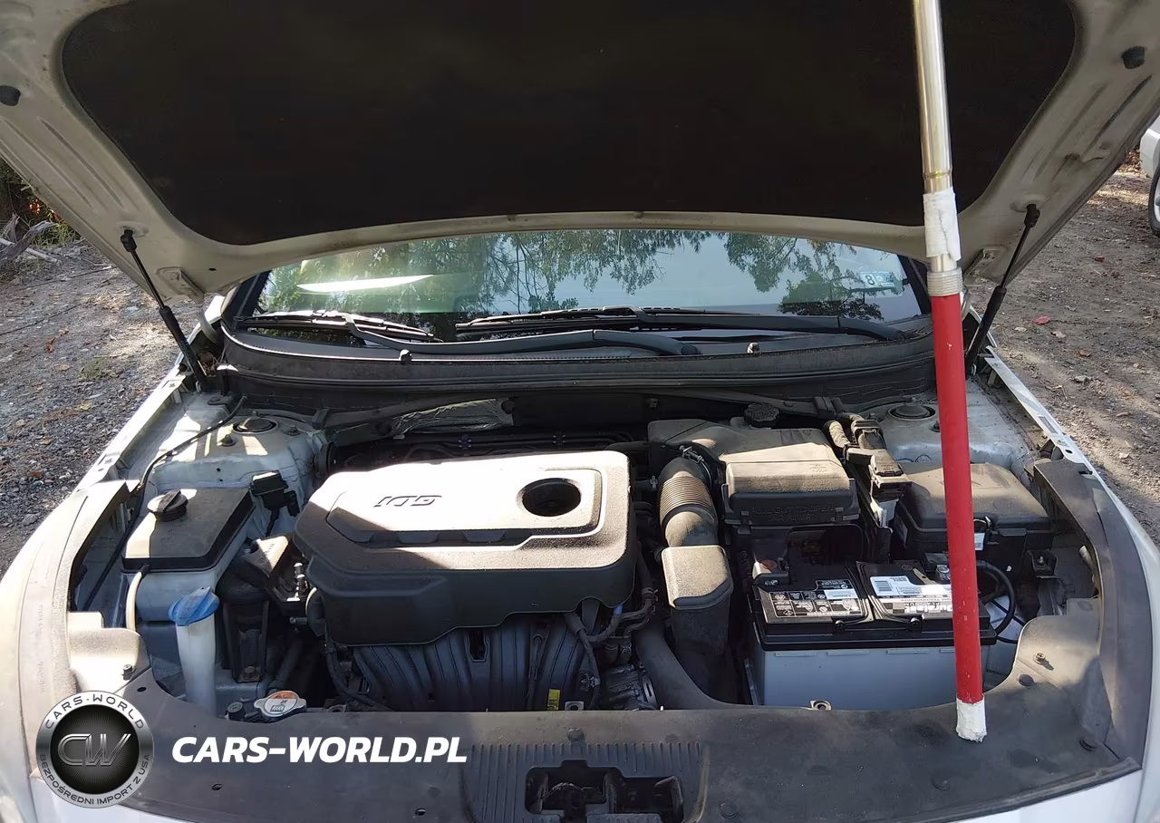 2017 Hyundai Sonata Se VIN:5NPE24AF8HH595365 - 10