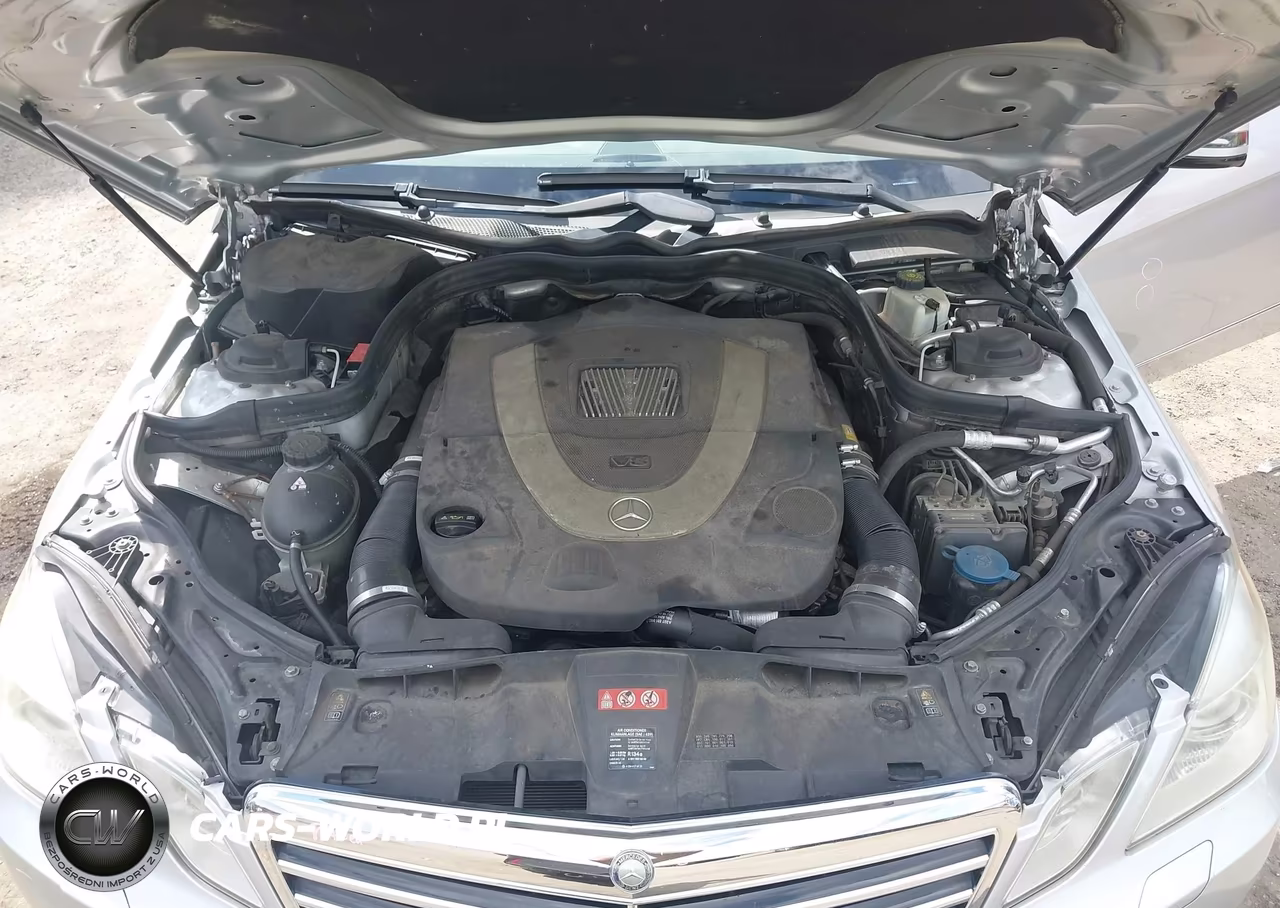 2010 Mercedes-Benz E 550 VIN:WDDHF7CB4AA005713 - 10
