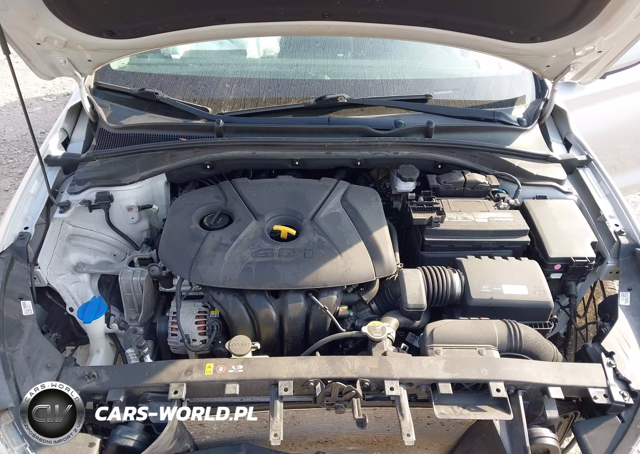 2018 Hyundai Elantra Gt VIN:KMHH35LE5JU019115 - 10