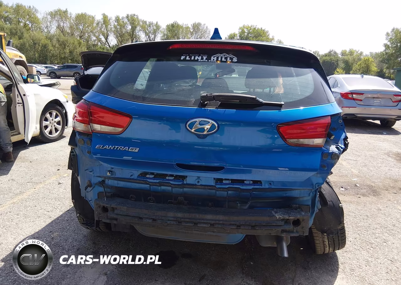 2018 Hyundai Elantra Gt VIN:KMHH35LEXJU045936 - 17