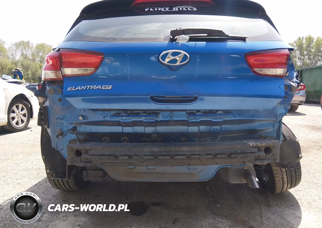 2018 Hyundai Elantra Gt VIN:KMHH35LEXJU045936 - 6