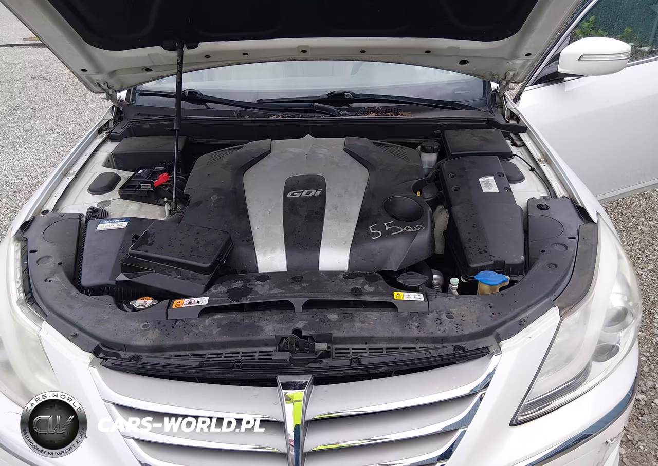 2012 Hyundai Genesis 3.8 VIN:KMHGC4DD1CU196226 - 10