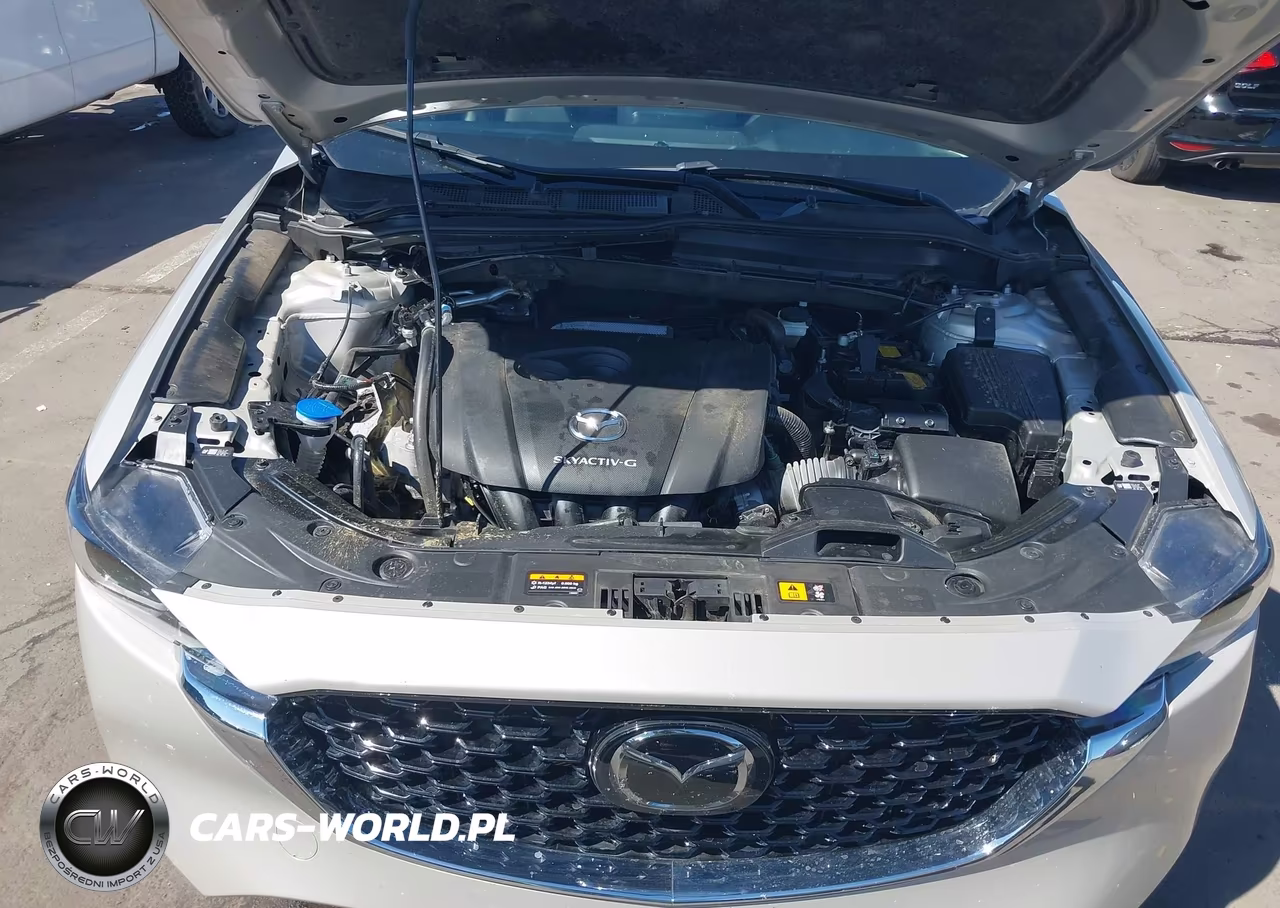 2024 Mazda Cx-5 2.5 S Preferred VIN:JM3KFBCLXR0429997 - 10