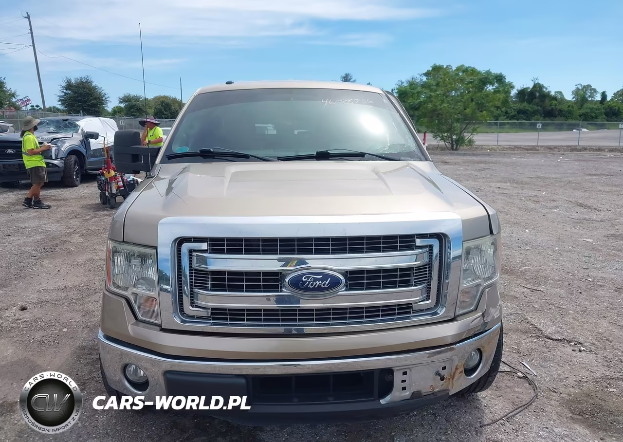 2014 Ford F-150 Xlt VIN:1FTFW1CT6EFA75438 - 12