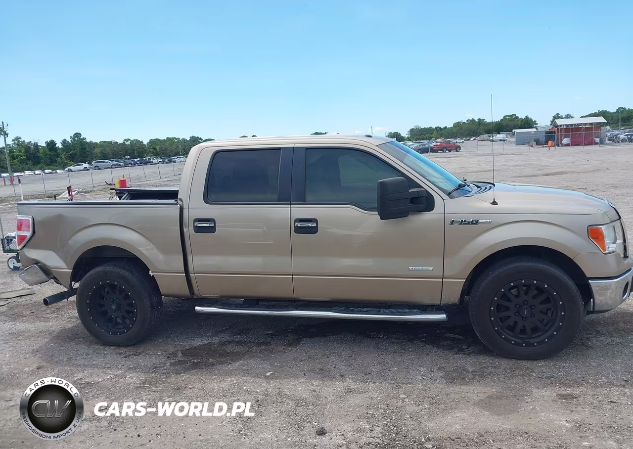2014 Ford F-150 Xlt VIN:1FTFW1CT6EFA75438 - 13