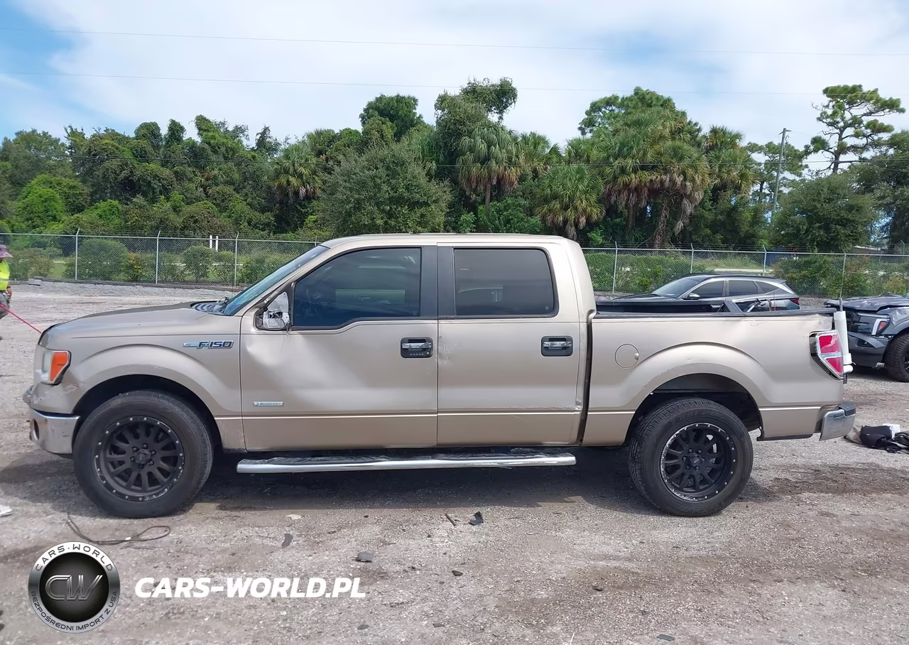 2014 Ford F-150 Xlt VIN:1FTFW1CT6EFA75438 - 14