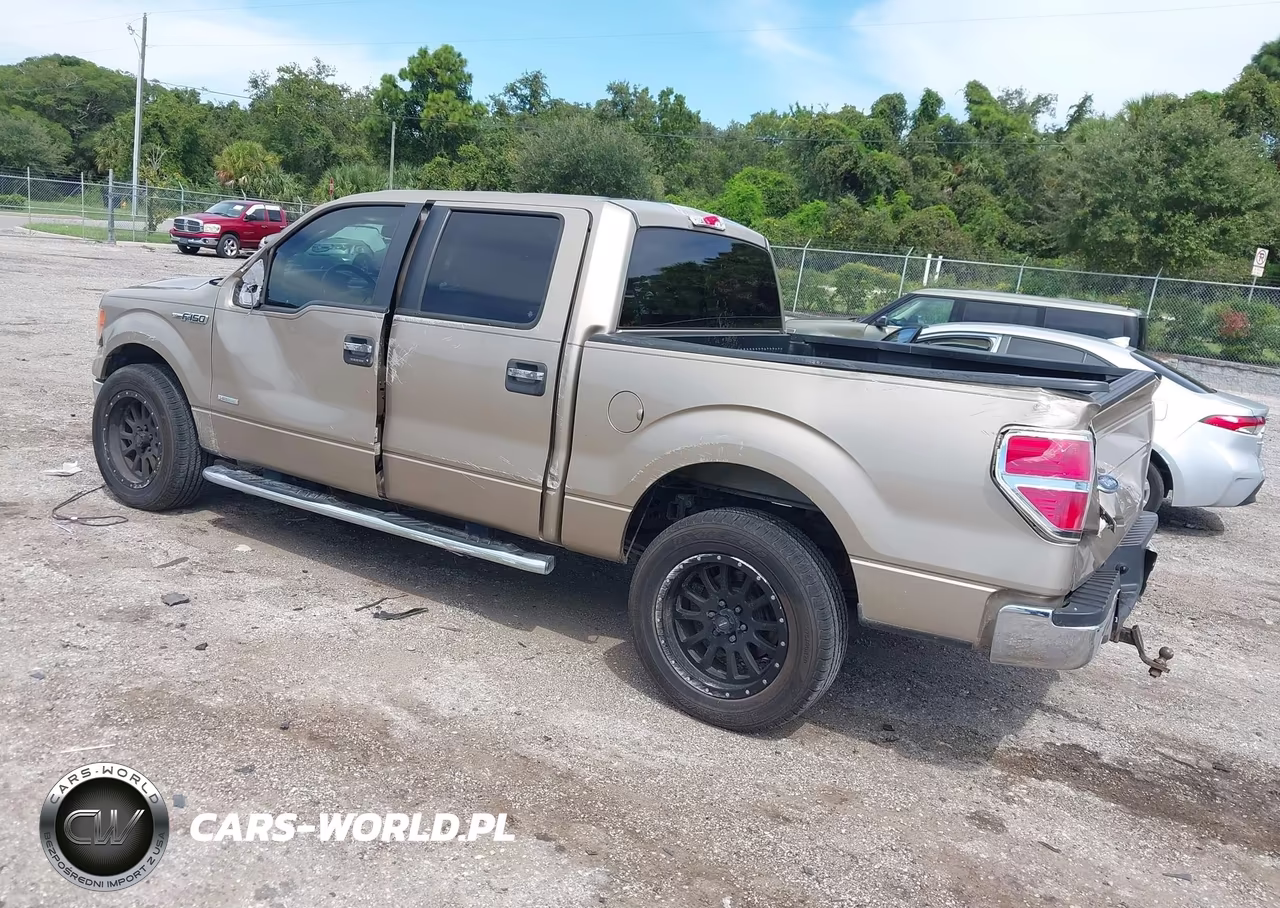 2014 Ford F-150 Xlt VIN:1FTFW1CT6EFA75438 - 3
