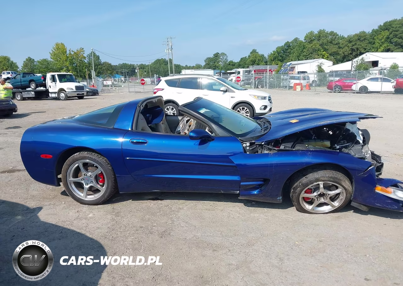 2004 Chevrolet Corvette VIN:1G1YY22G545115177 - 13