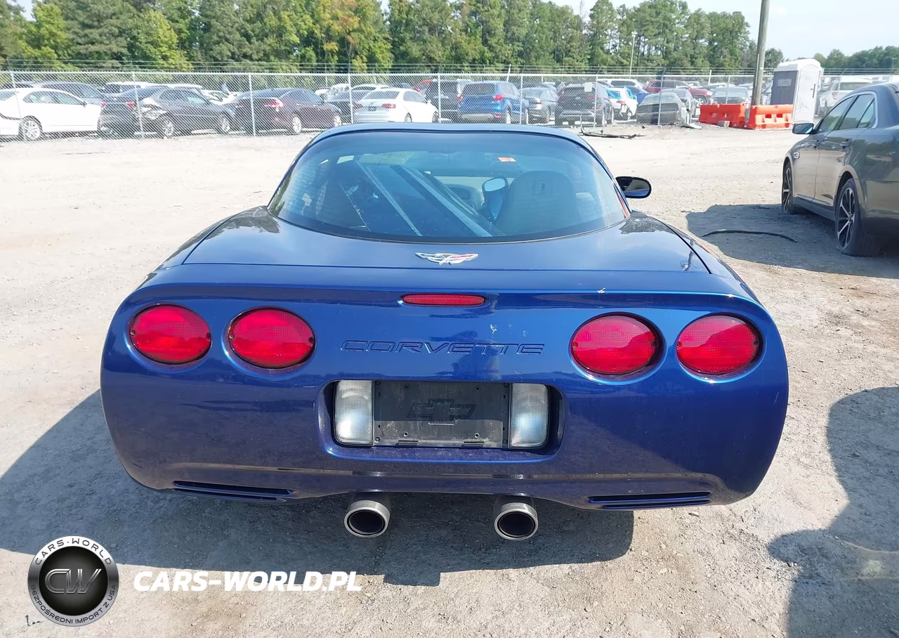 2004 Chevrolet Corvette VIN:1G1YY22G545115177 - 16