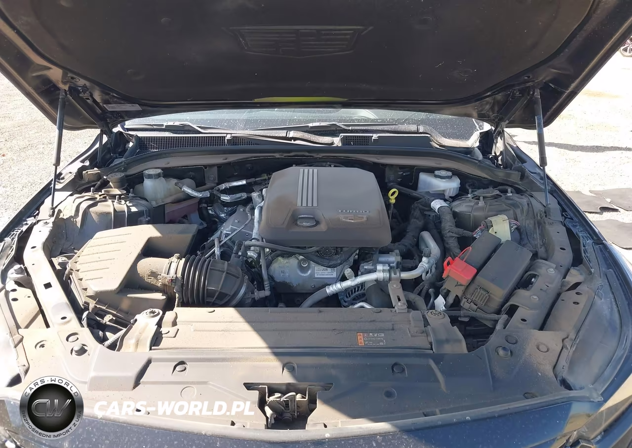 2023 Cadillac Ct5 Luxury VIN:1G6DW5RK5P0118513 - 10
