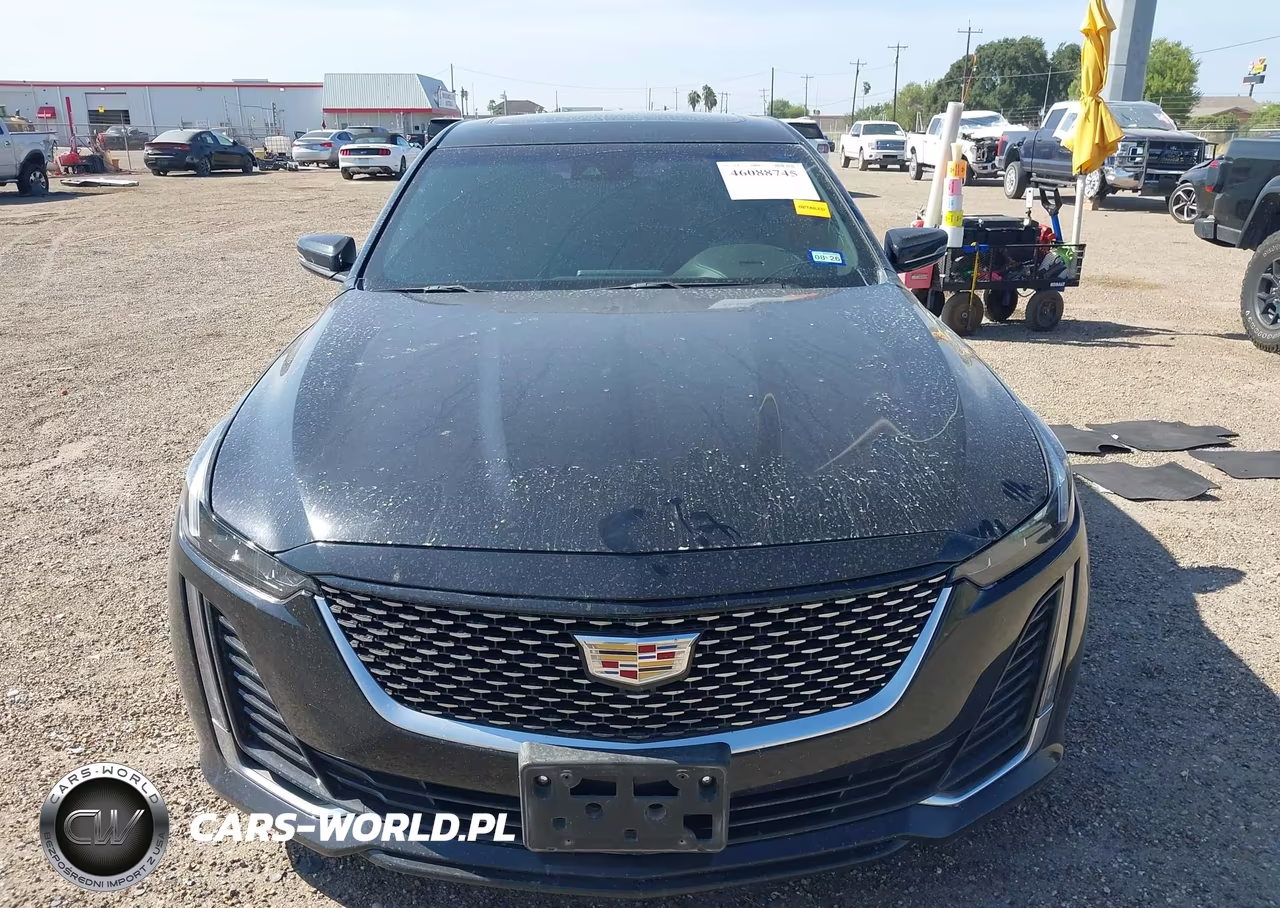 2023 Cadillac Ct5 Luxury VIN:1G6DW5RK5P0118513 - 12