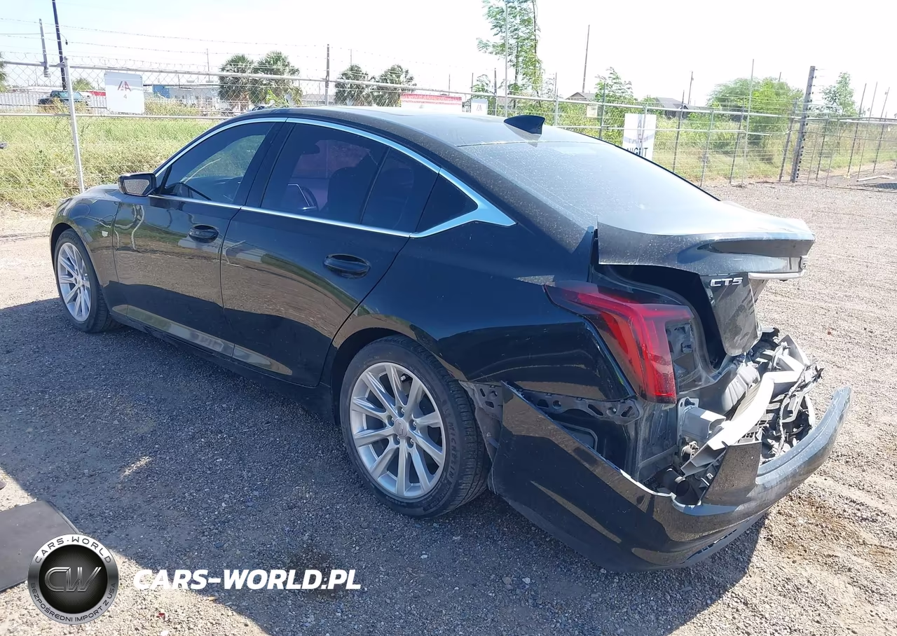 2023 Cadillac Ct5 Luxury VIN:1G6DW5RK5P0118513 - 3