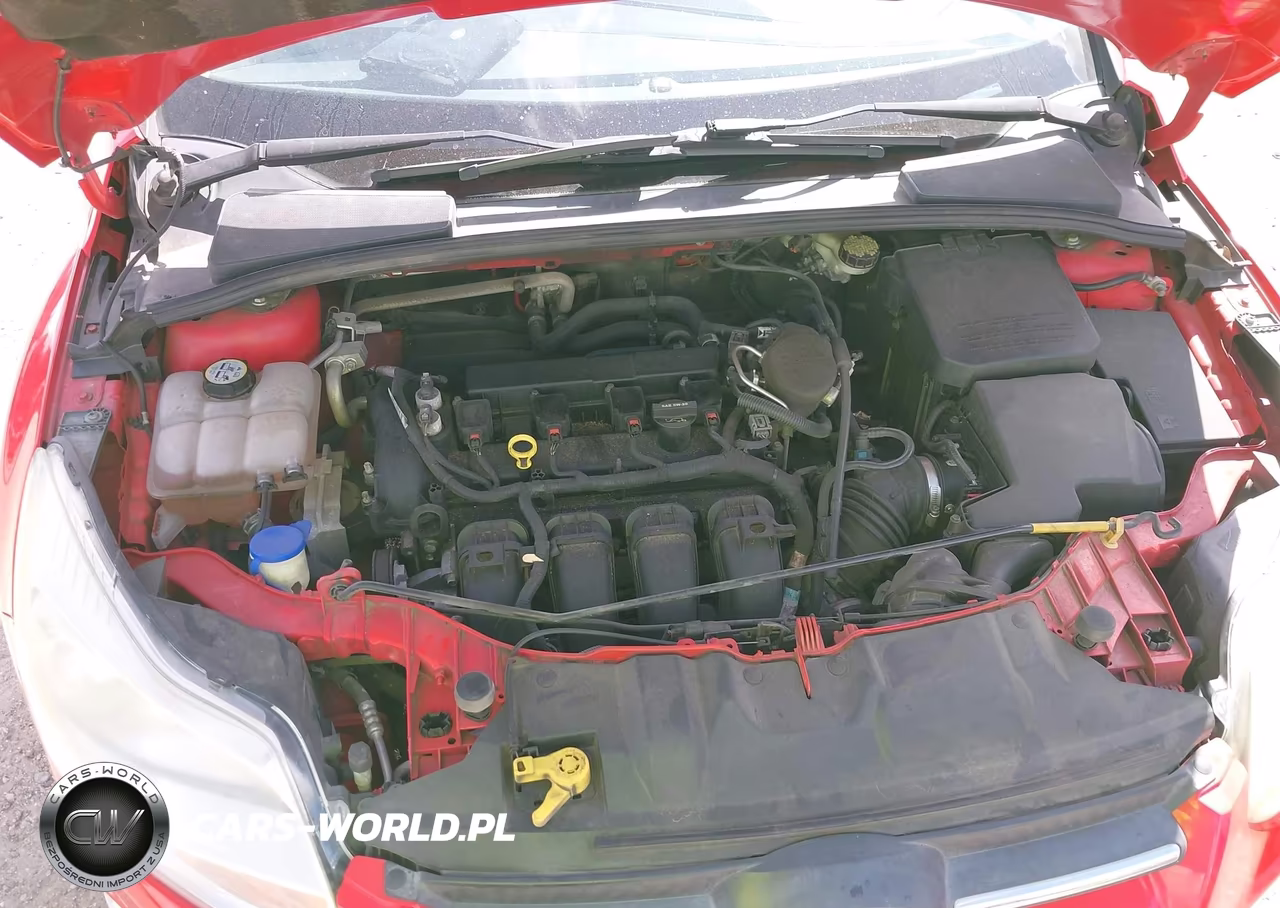 2013 Ford Focus Se VIN:1FADP3F21DL209720 - 10