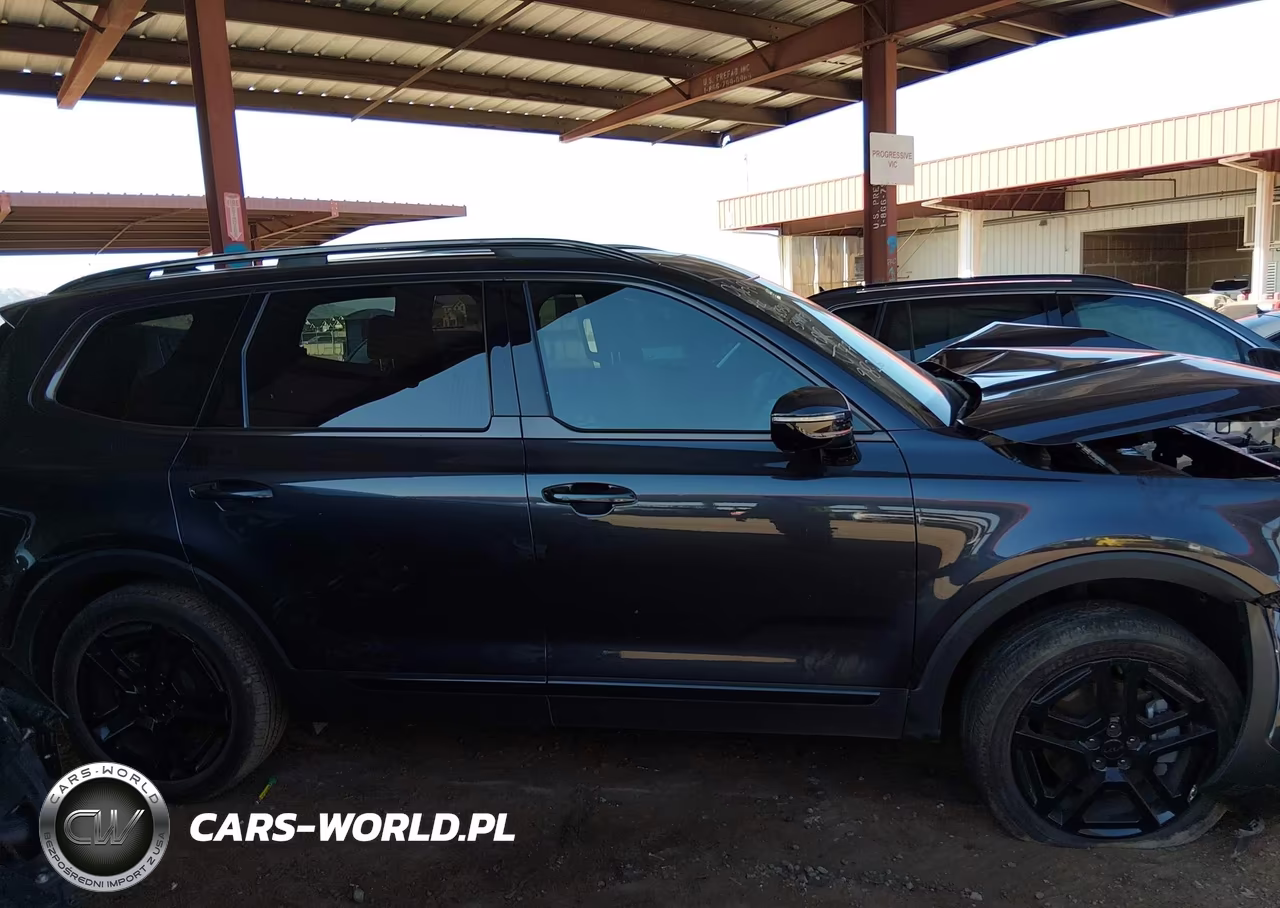 2025 Kia Telluride Sx X-Line VIN:5XYP5DGC4SG639311 - 12