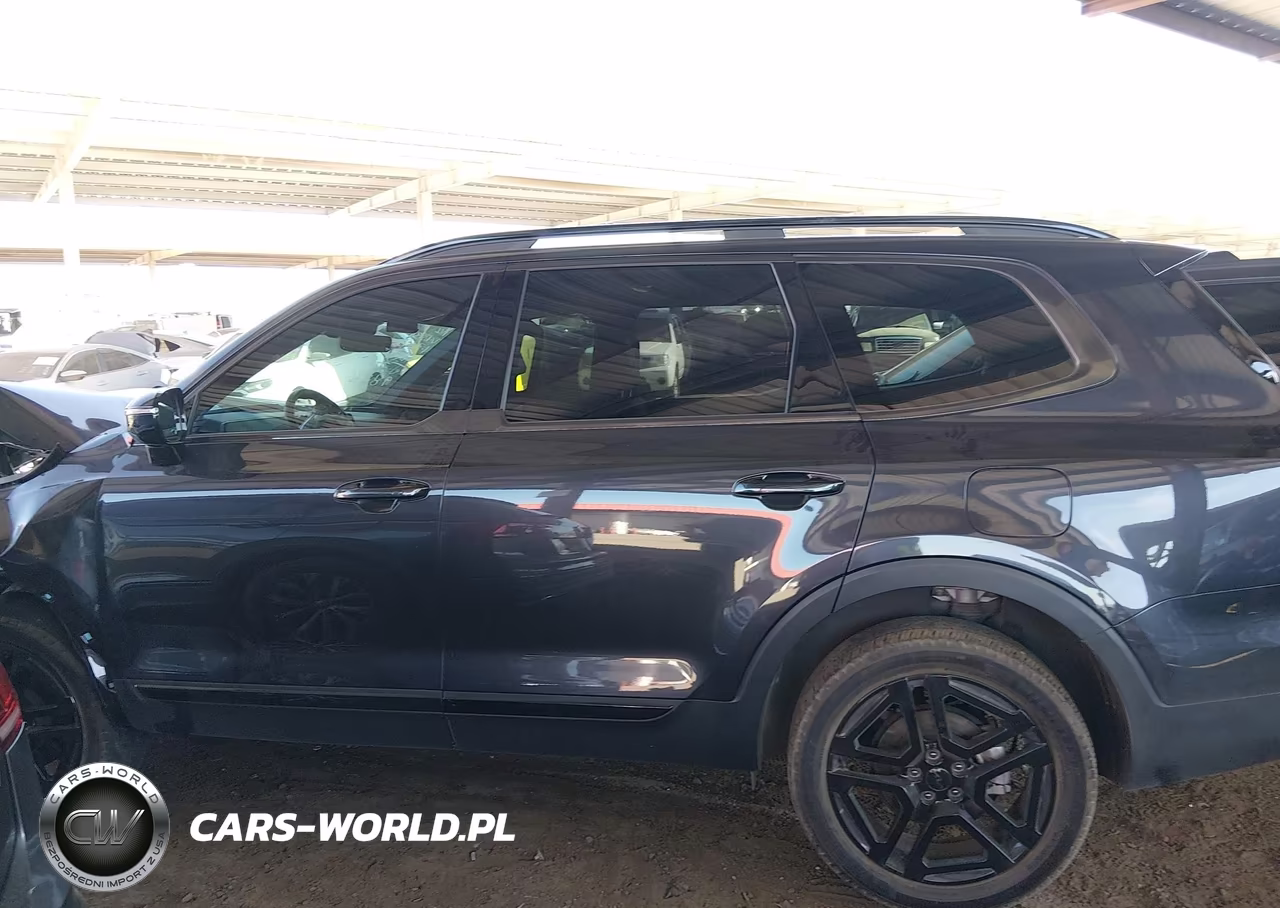 2025 Kia Telluride Sx X-Line VIN:5XYP5DGC4SG639311 - 13