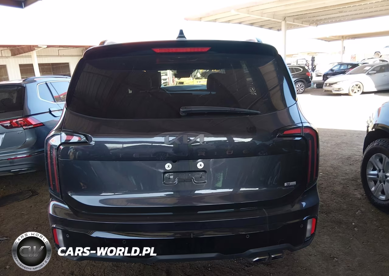 2025 Kia Telluride Sx X-Line VIN:5XYP5DGC4SG639311 - 15