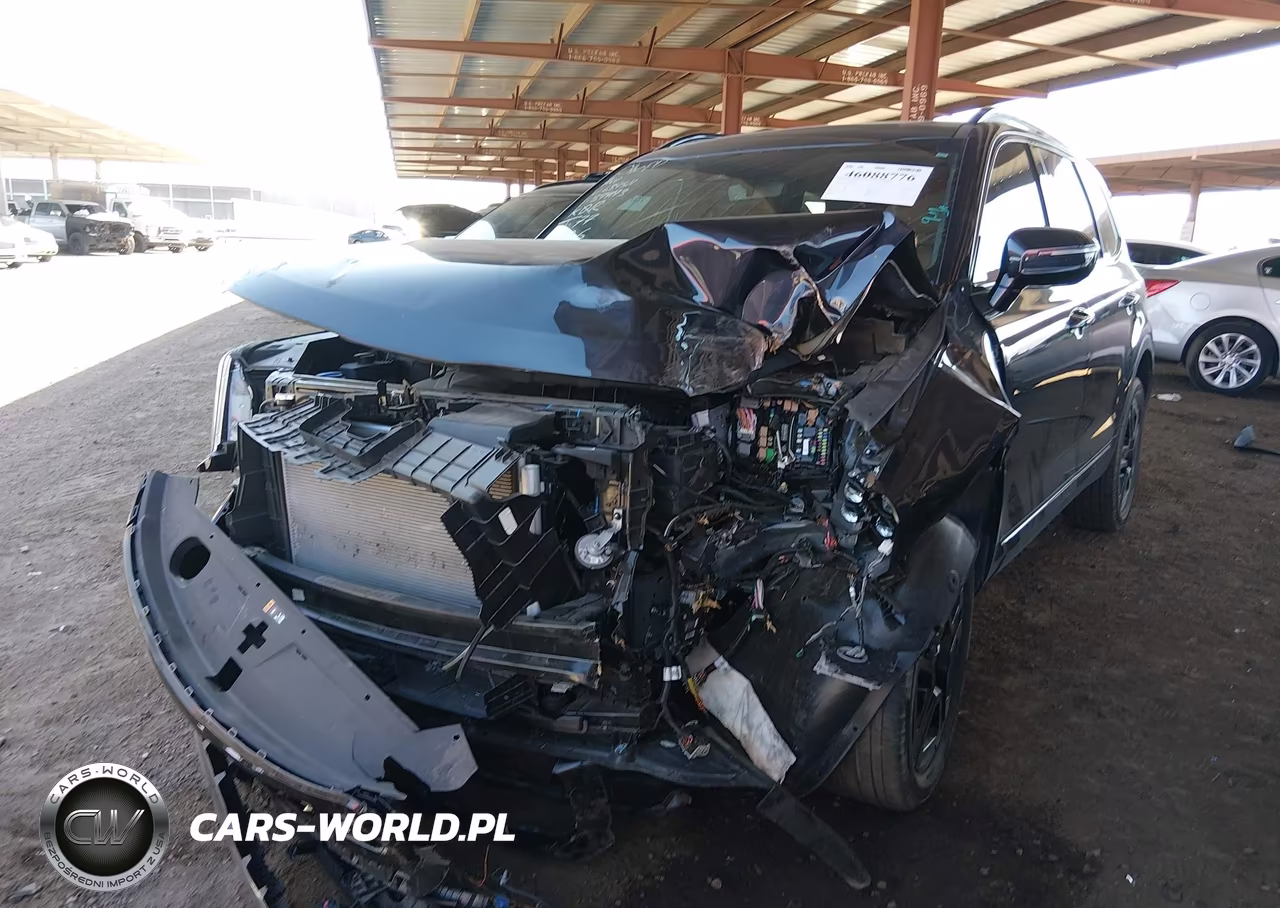 2025 Kia Telluride Sx X-Line VIN:5XYP5DGC4SG639311 - 2