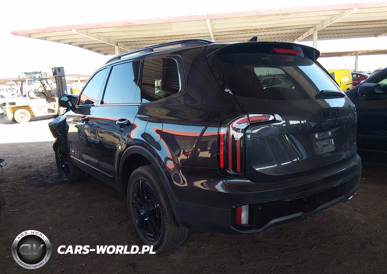 2025 Kia Telluride Sx X-Line VIN:5XYP5DGC4SG639311 - 3