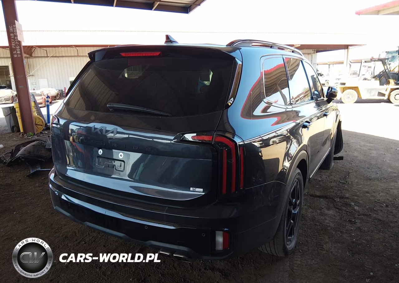 2025 Kia Telluride Sx X-Line VIN:5XYP5DGC4SG639311 - 4