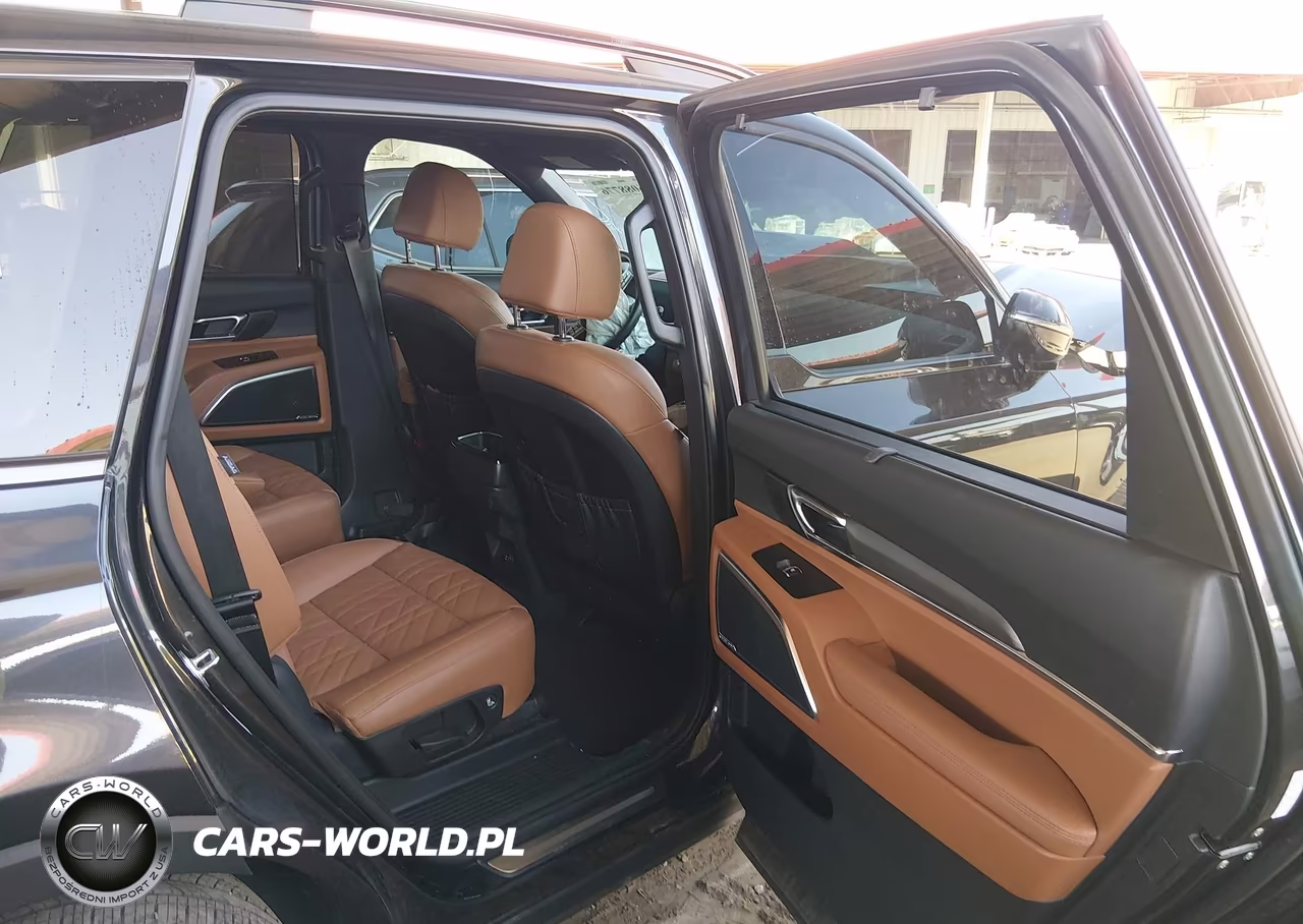 2025 Kia Telluride Sx X-Line VIN:5XYP5DGC4SG639311 - 8