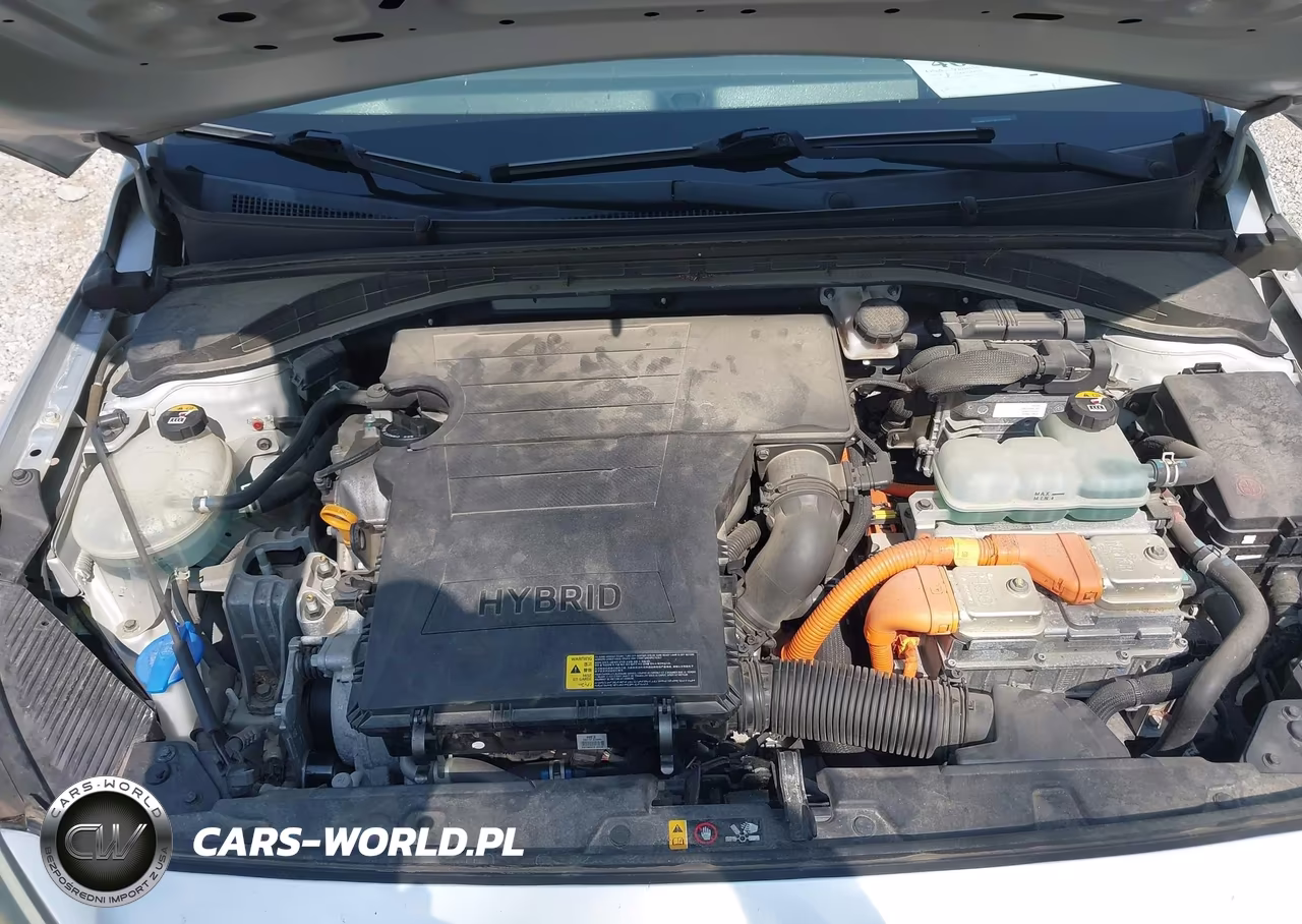 2019 Hyundai Ioniq Hybrid Blue VIN:KMHC65LC4KU158704 - 10