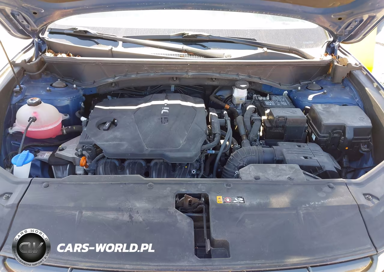 2023 Hyundai Tucson Sel VIN:5NMJBCAEXPH210559 - 10