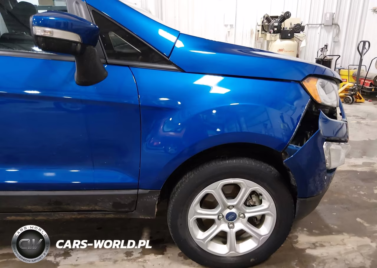 2020 Ford Ecosport Se VIN:MAJ6S3GL8LC327616 - 19
