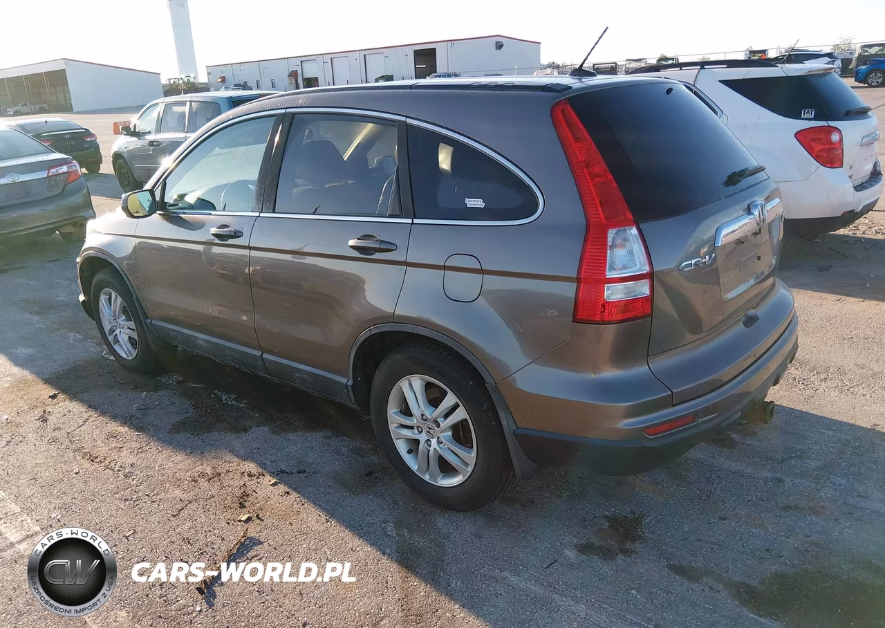 2010 Honda Cr-V Ex-L VIN:5J6RE4H70AL019319 - 3