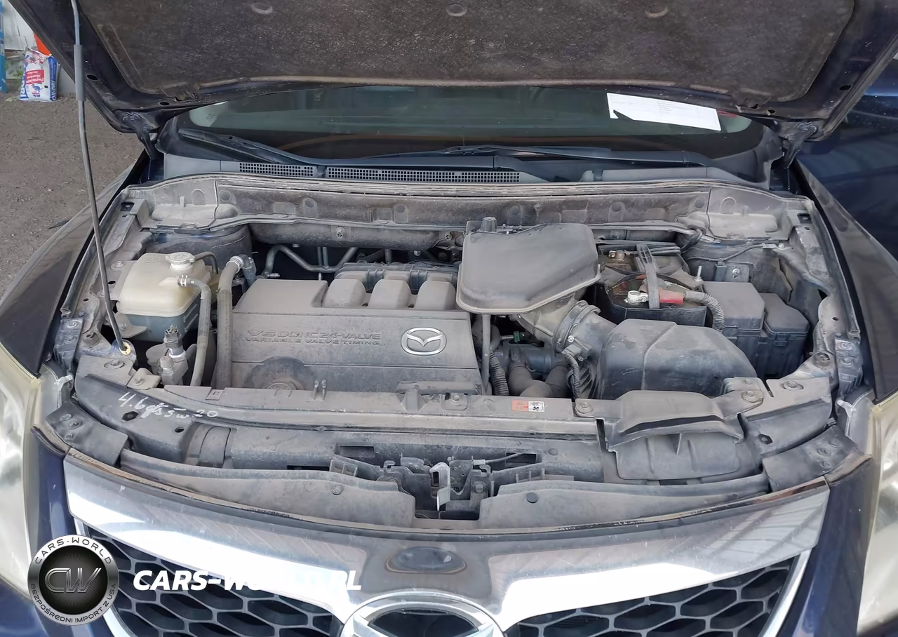 2010 Mazda Cx-9 Touring VIN:JM3TB3MA0A0221778 - 10