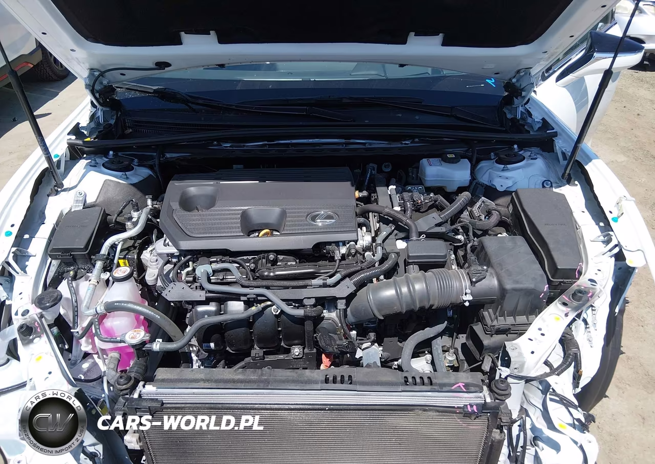 2025 Lexus Es 300H VIN:58ADA1C13SU073792 - 10