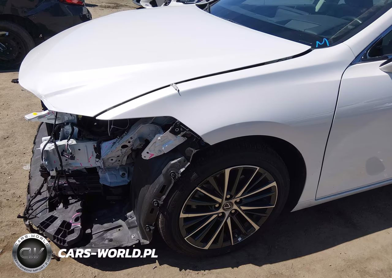 2025 Lexus Es 300H VIN:58ADA1C13SU073792 - 19