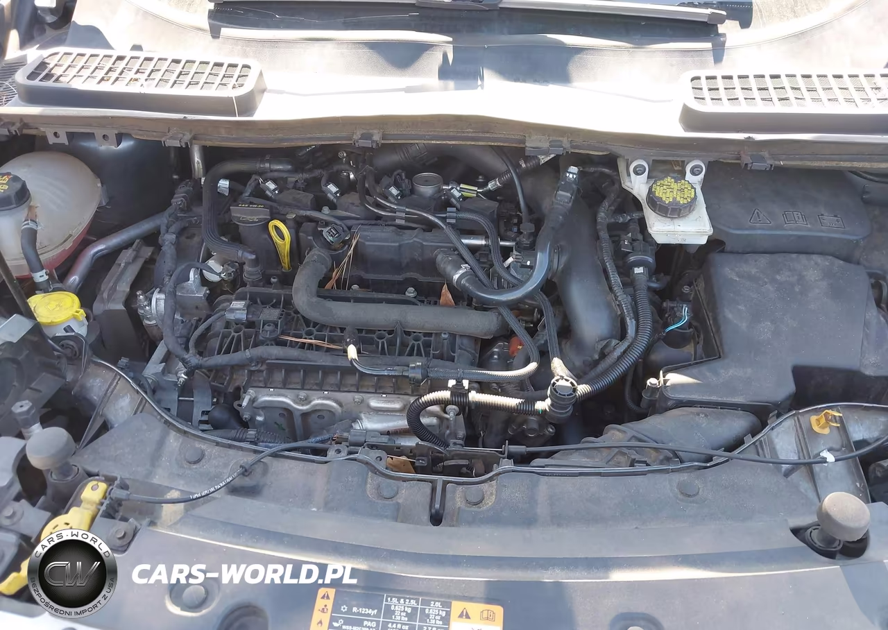 2019 Ford Escape Se VIN:1FMCU0GD3KUB84559 - 10