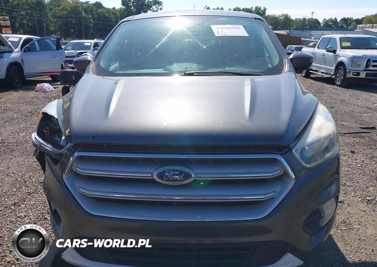 2019 Ford Escape Se VIN:1FMCU0GD3KUB84559 - 12