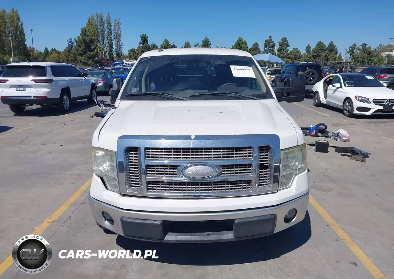 2009 Ford F-150 Fx4-King Ranch-Lariat-Platinum-Xl-Xlt VIN:1FTPW14VX9FA19819 - 13