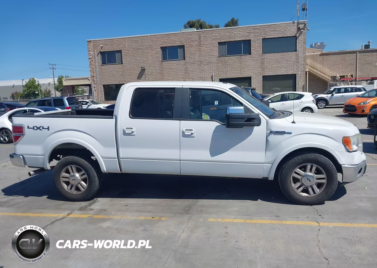 2009 Ford F-150 Fx4-King Ranch-Lariat-Platinum-Xl-Xlt VIN:1FTPW14VX9FA19819 - 14
