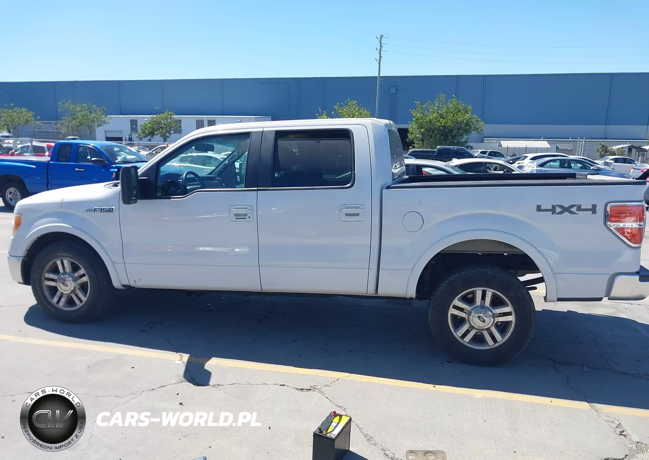 2009 Ford F-150 Fx4-King Ranch-Lariat-Platinum-Xl-Xlt VIN:1FTPW14VX9FA19819 - 15