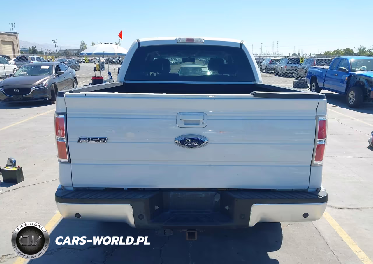 2009 Ford F-150 Fx4-King Ranch-Lariat-Platinum-Xl-Xlt VIN:1FTPW14VX9FA19819 - 17