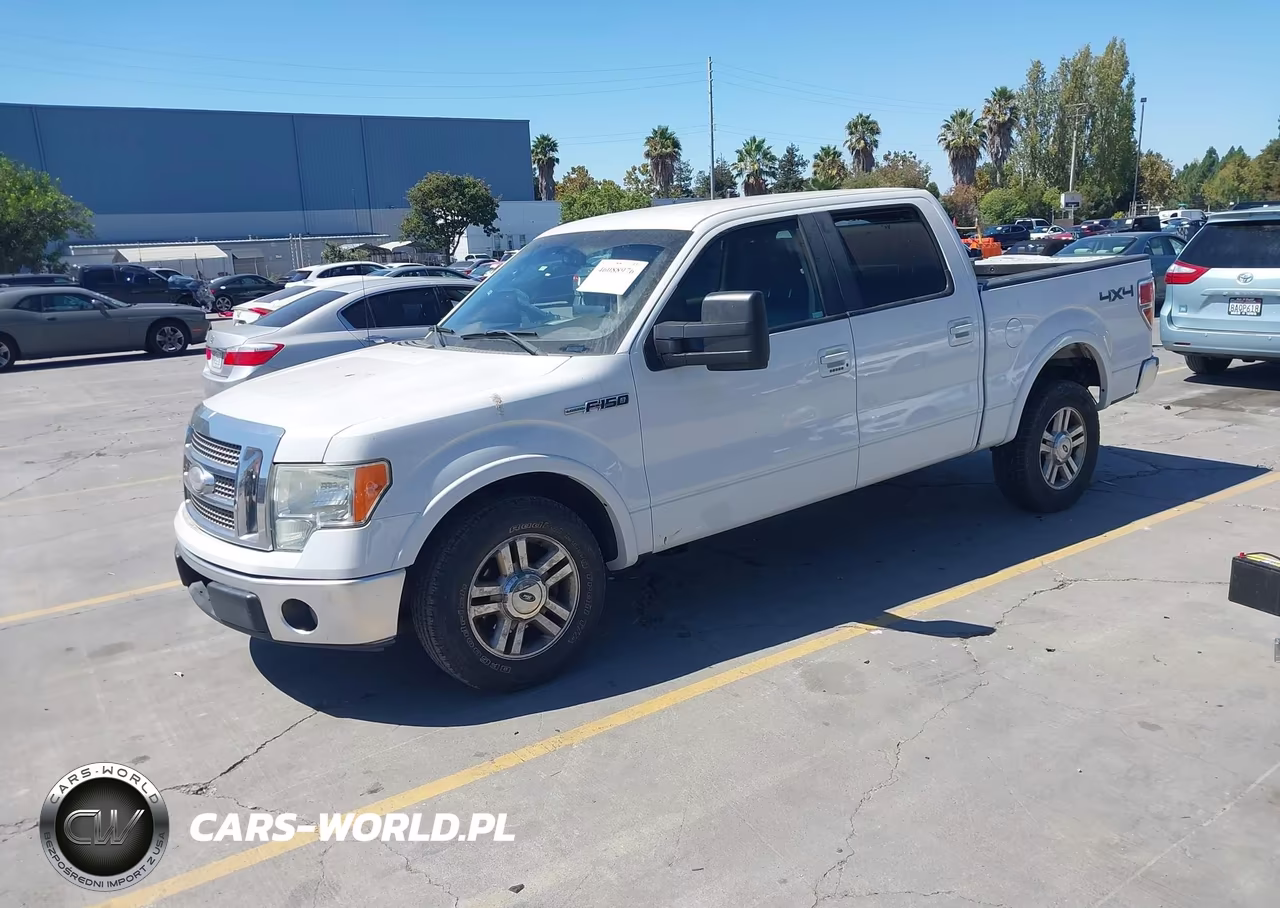 2009 Ford F-150 Fx4-King Ranch-Lariat-Platinum-Xl-Xlt VIN:1FTPW14VX9FA19819 - 2