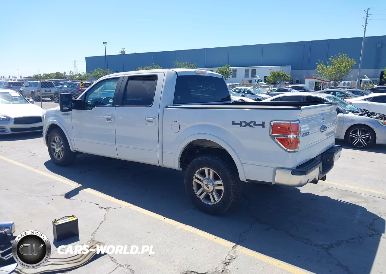 2009 Ford F-150 Fx4-King Ranch-Lariat-Platinum-Xl-Xlt VIN:1FTPW14VX9FA19819 - 3