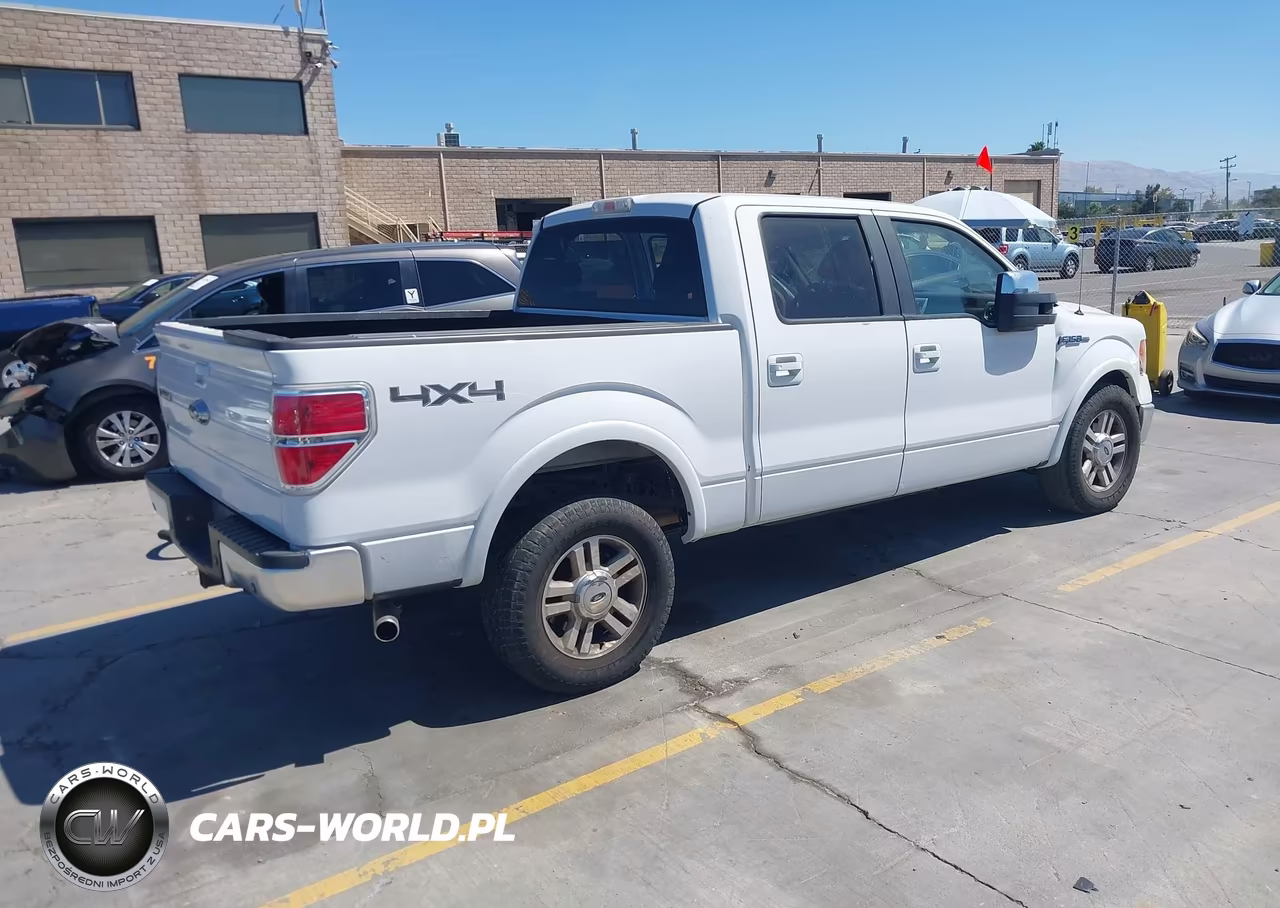 2009 Ford F-150 Fx4-King Ranch-Lariat-Platinum-Xl-Xlt VIN:1FTPW14VX9FA19819 - 4