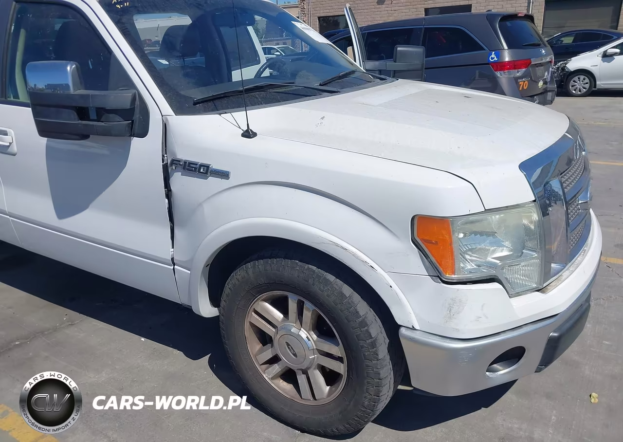 2009 Ford F-150 Fx4-King Ranch-Lariat-Platinum-Xl-Xlt VIN:1FTPW14VX9FA19819 - 6