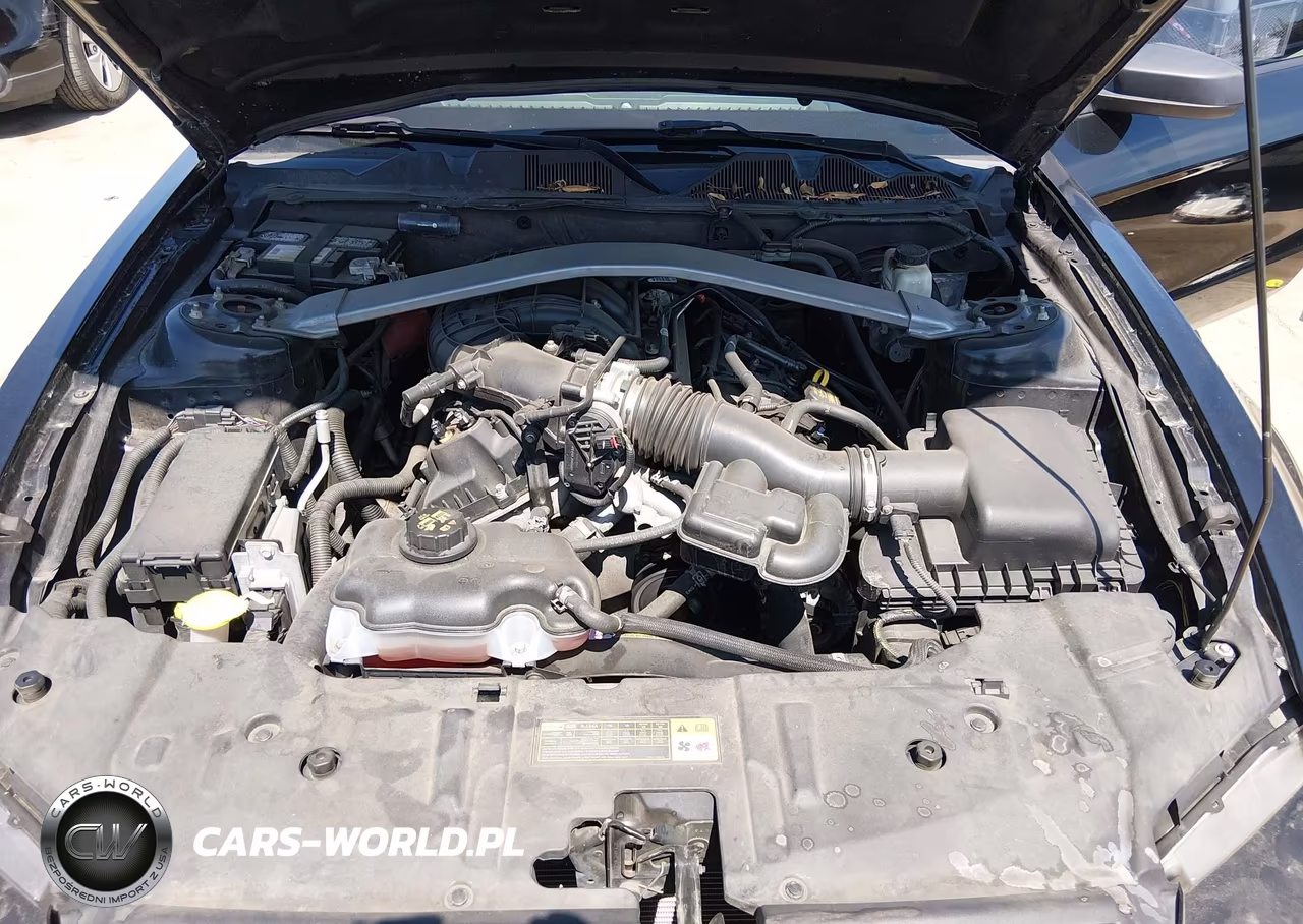 2014 Ford Mustang V6 VIN:1ZVBP8EM1E5262387 - 10