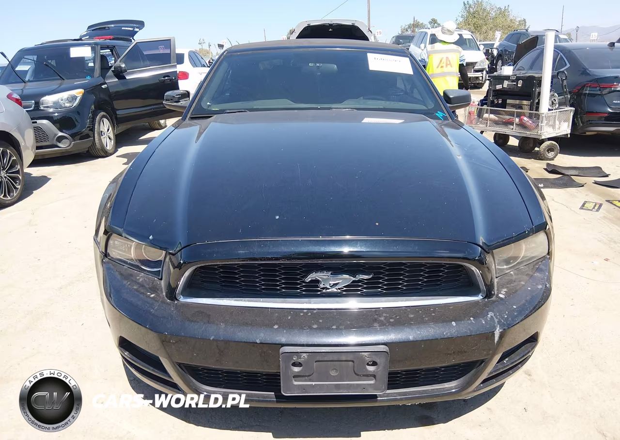 2014 Ford Mustang V6 VIN:1ZVBP8EM1E5262387 - 13