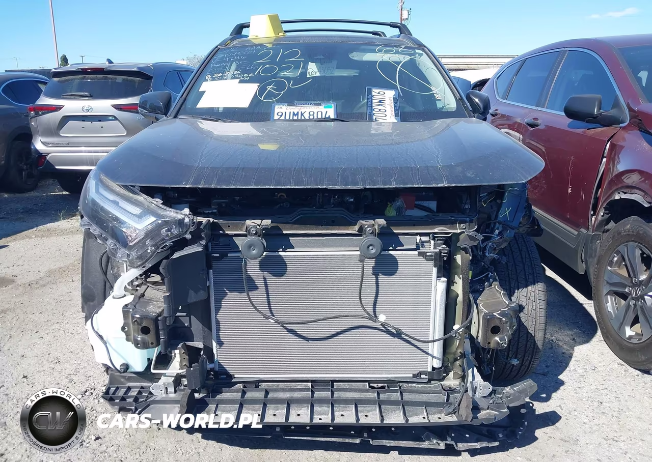 2025 Toyota Rav4 Xle VIN:2T3W1RFV5SW404246 - 12
