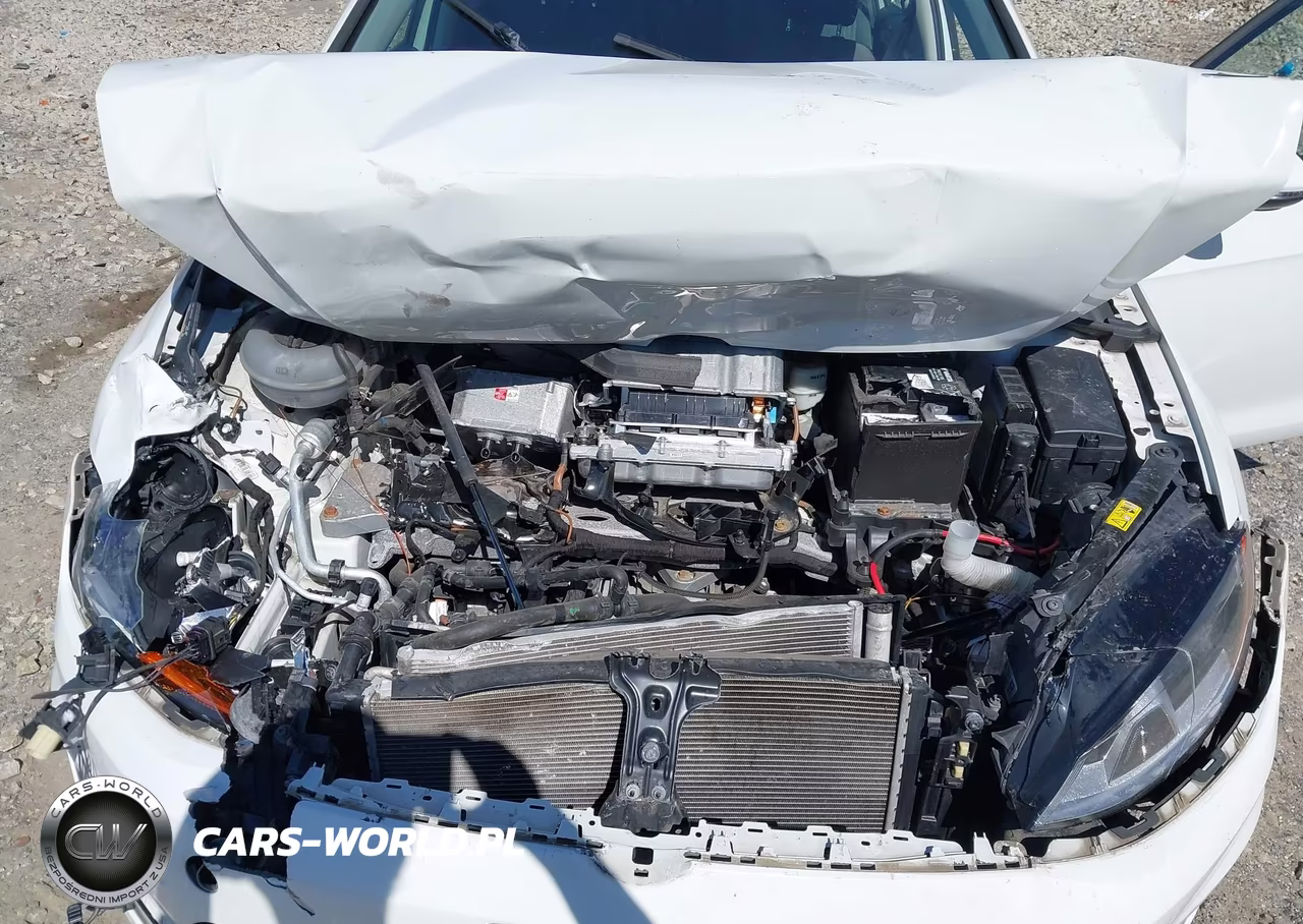 2016 Volkswagen E-Golf Se VIN:WVWKP7AU4GW906688 - 10