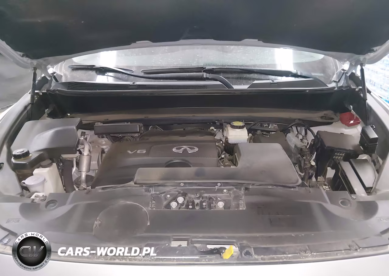 2019 Infiniti Qx60 Pure VIN:5N1DL0MN5KC559457 - 10