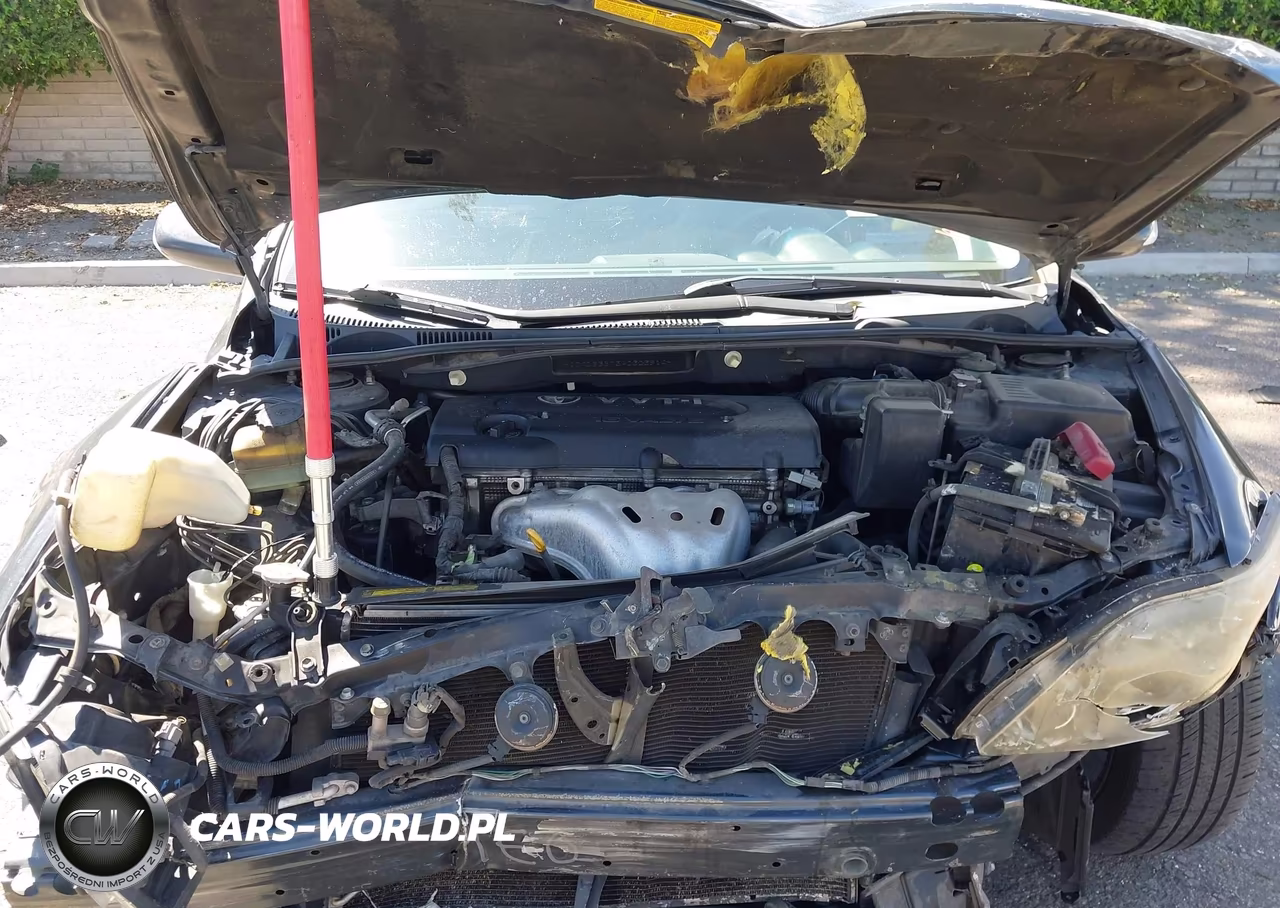 2010 Scion Tc VIN:JTKDE3B73A0303914 - 10