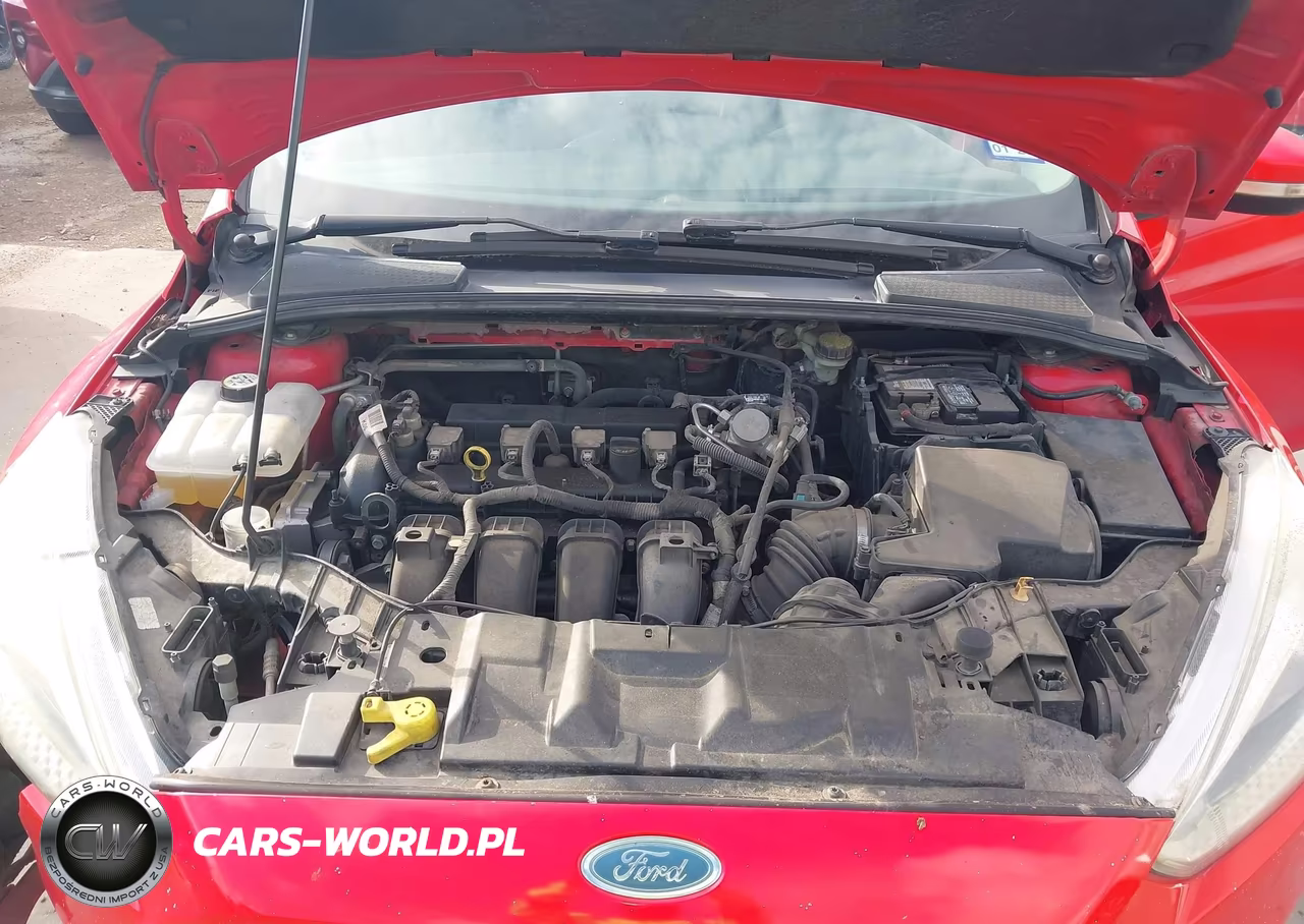 2016 Ford Focus Se VIN:1FADP3F21GL336553 - 10